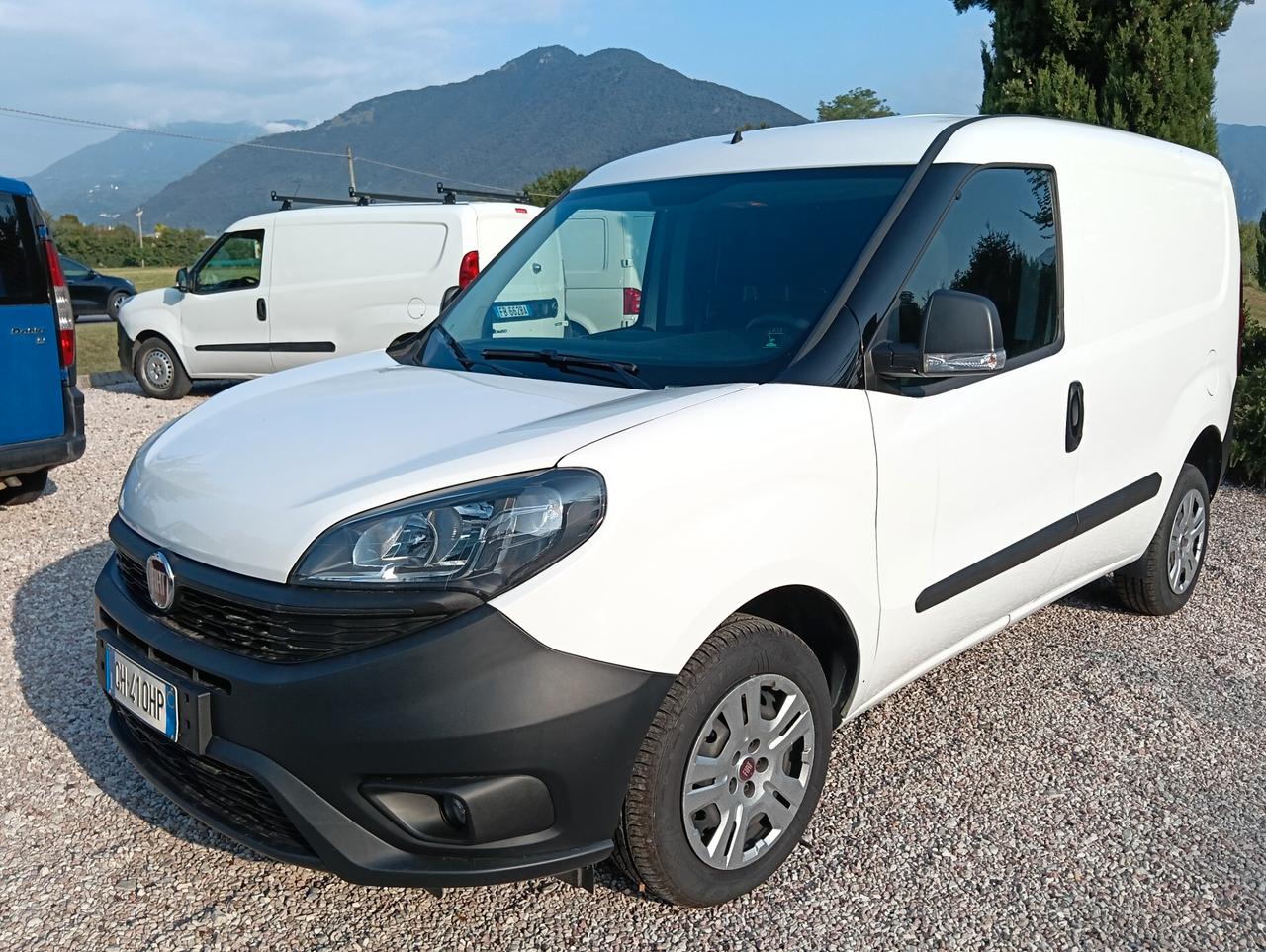 Fiat Doblo1.3 MJT S&S PC-TN Cargo Easy