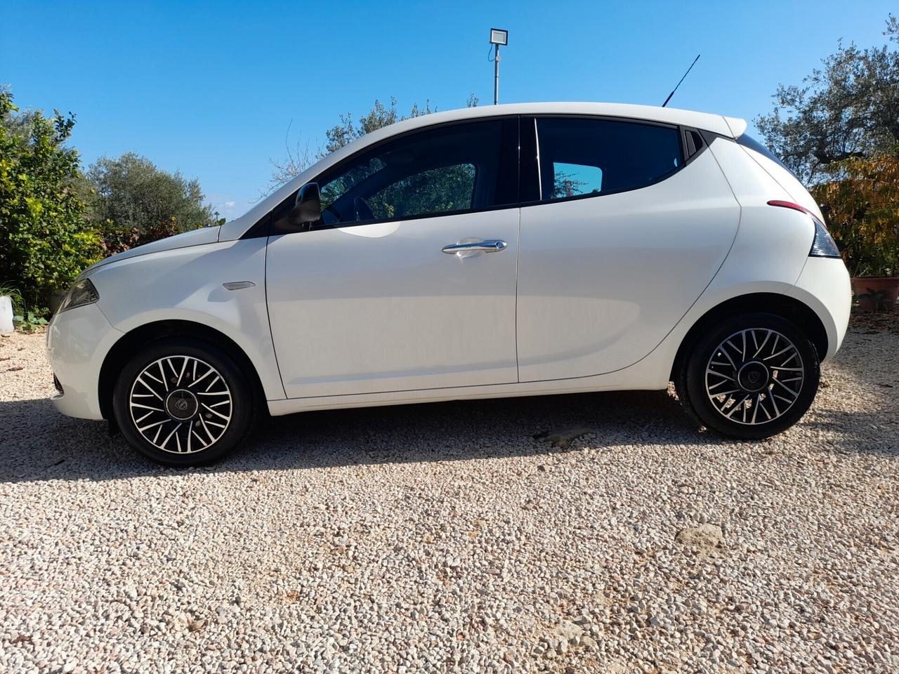 Lancia Ypsilon 1.2 69 CV Gold 2019 neopatentati ok