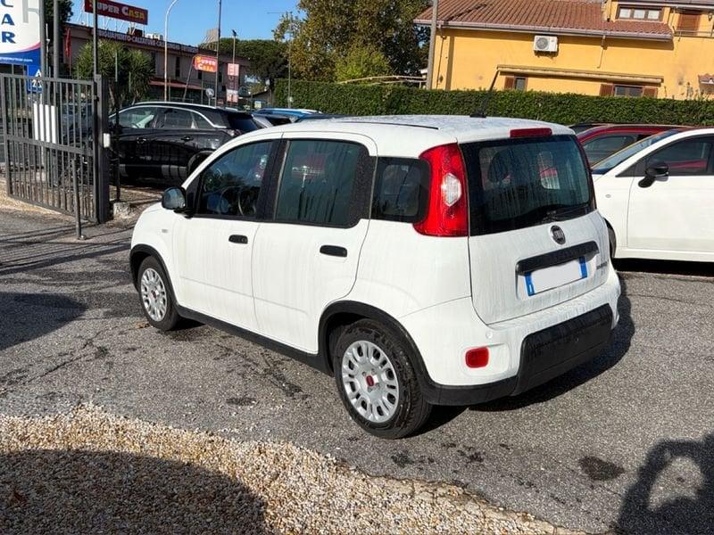 FIAT Panda Panda 1.0 firefly hybrid s&s 70cv 5p.ti