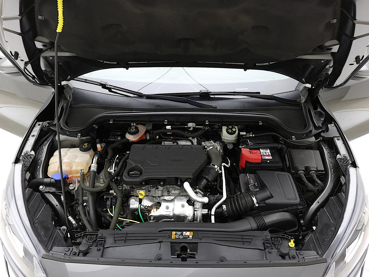 Ford Focus 1.5 EcoBlue 120CV Business