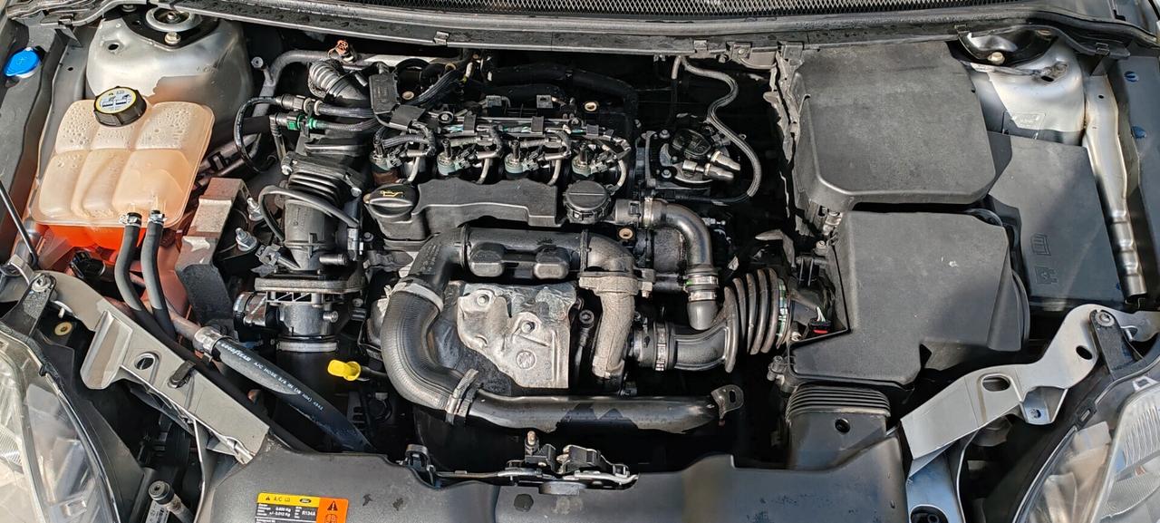 Ford Focus 1.6 TDCi (90CV) 5p. Tit.