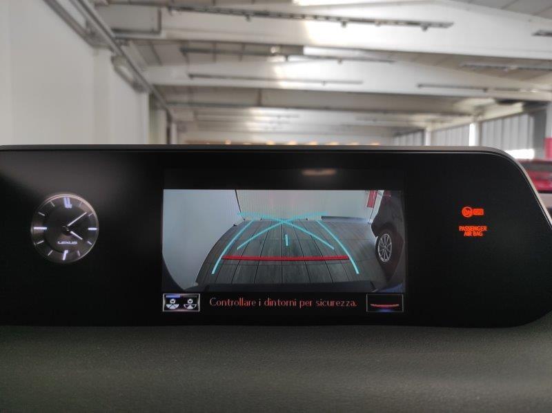 LEXUS UX - UX Hybrid Business
