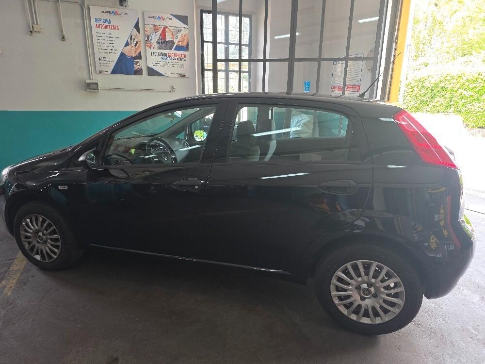 Fiat Punto 1.2 8V 5 porte Street