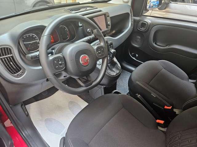 Fiat Panda Panda Cross 1.0 hybrid s&s 70cv 5posti