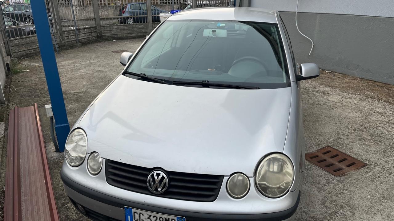 Volkswagen Polo 1.2 12V 3p. Comfortline km 102000