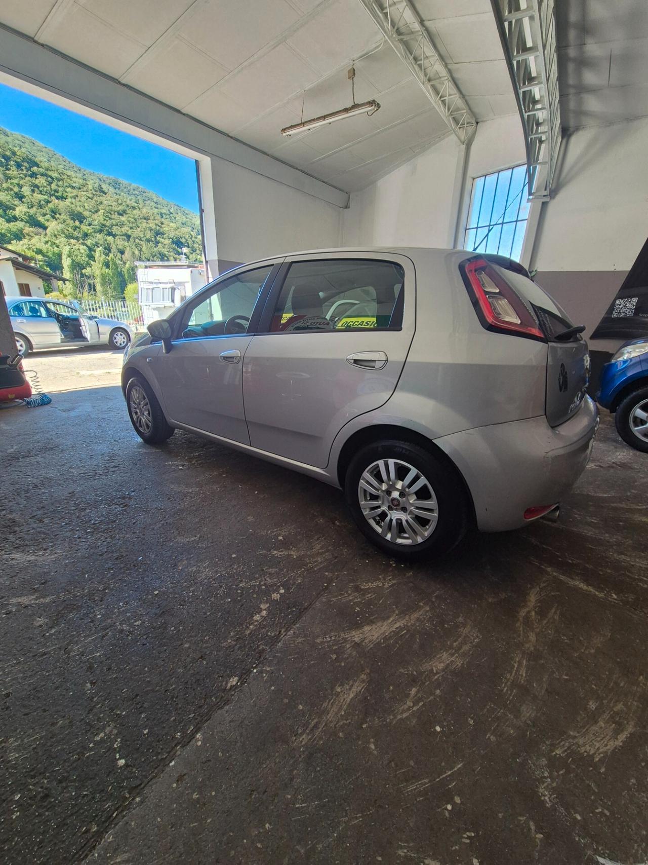 Fiat Punto 1.2 8V 5 porte Lounge euro 6 neo patentati