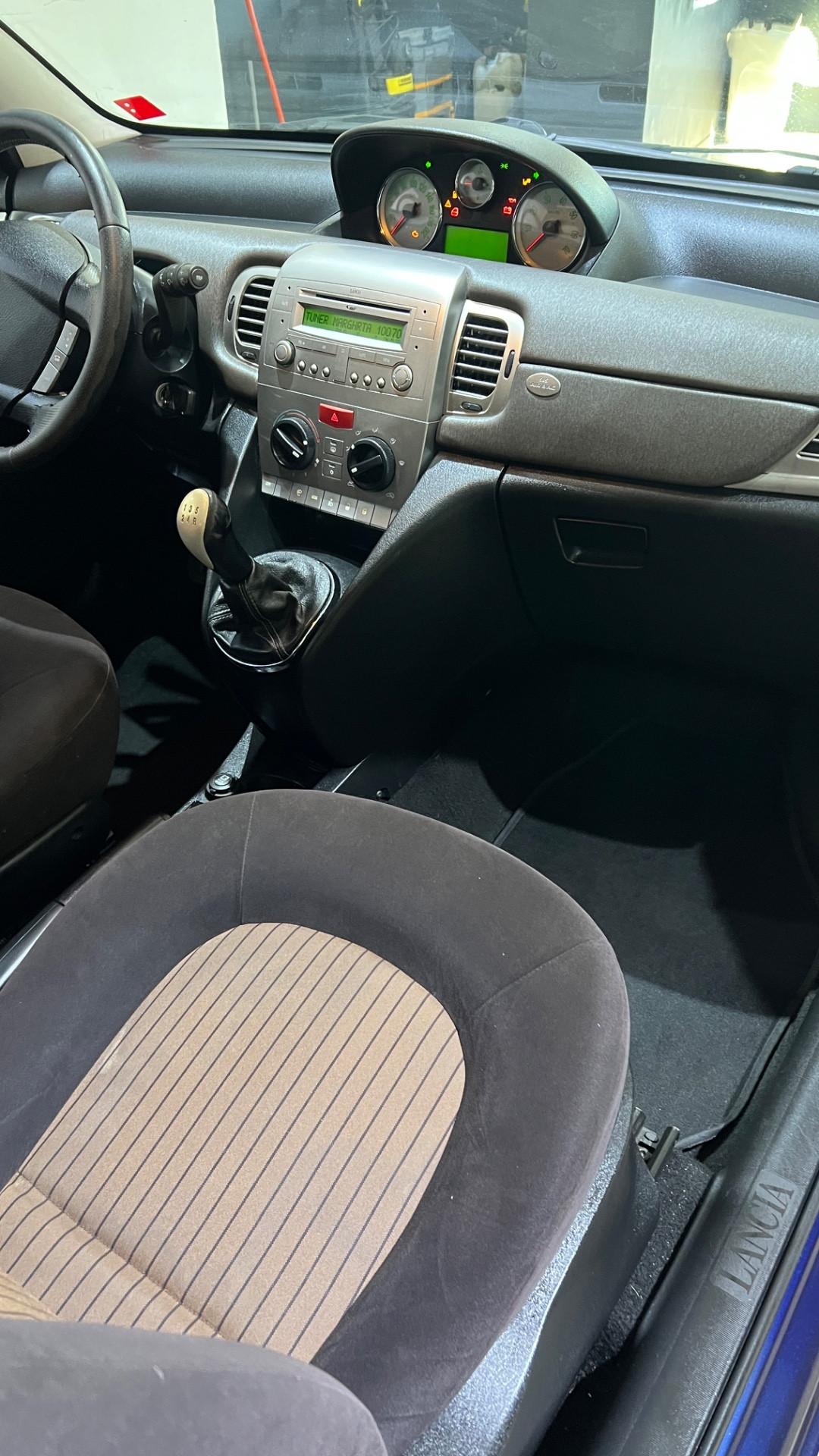 Lancia Ypsilon Platino tetto