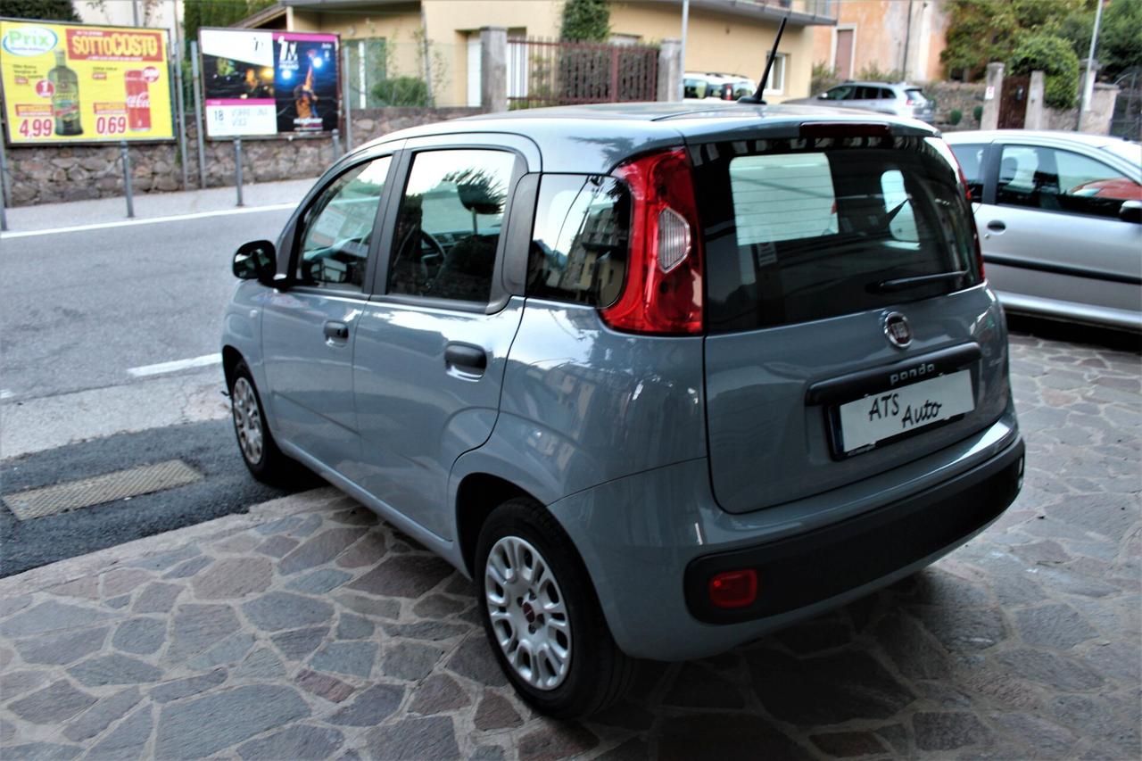 Fiat Panda 1.2 Easy Neopatentati