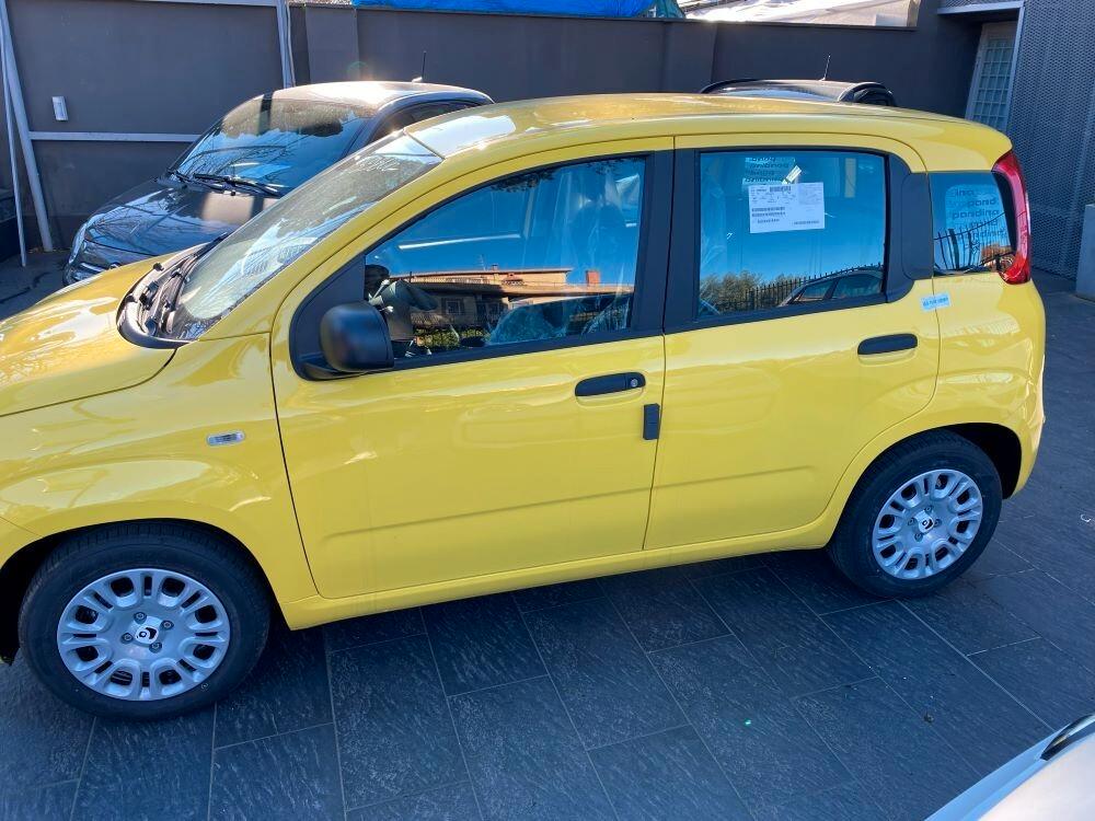 Fiat Panda Pandina 1.0 FireFly 65 CV Hybrid Pop