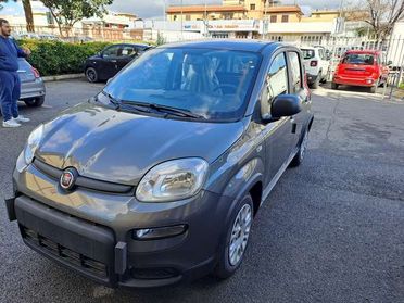 Fiat Panda Panda 1.0 firefly hybrid KM0 diversi colori