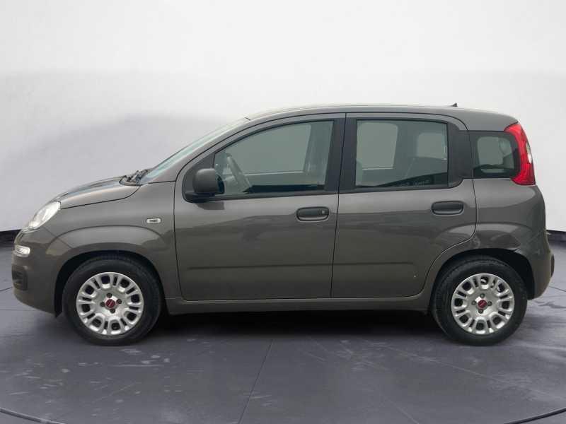 FIAT Panda 1.0 hybrid Easy s&s 70cv