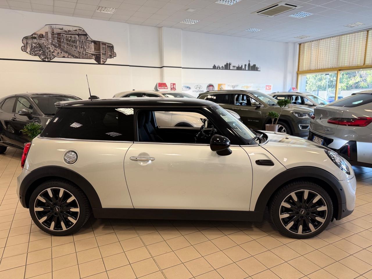 Mini 2.0 Cooper S Delaney Edition
