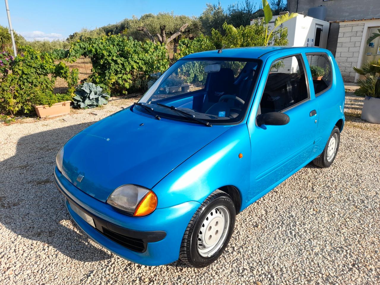 Fiat Seicento 900i cat Fun