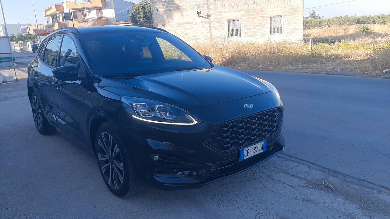 Ford Kuga 1.5 EcoBlue 120 CV aut. 2WD ST-Line X