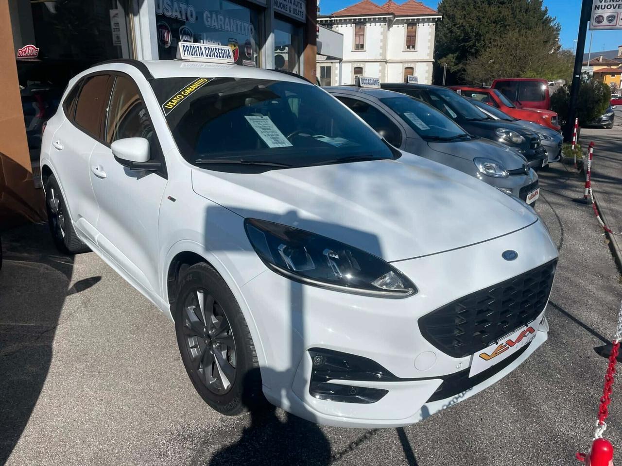 Ford Kuga 1.5 EcoBlue 120 CV 2WD ST-Line