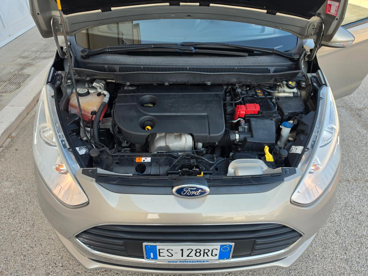 Ford B-Max 1.5 TDCi 75 CV Business