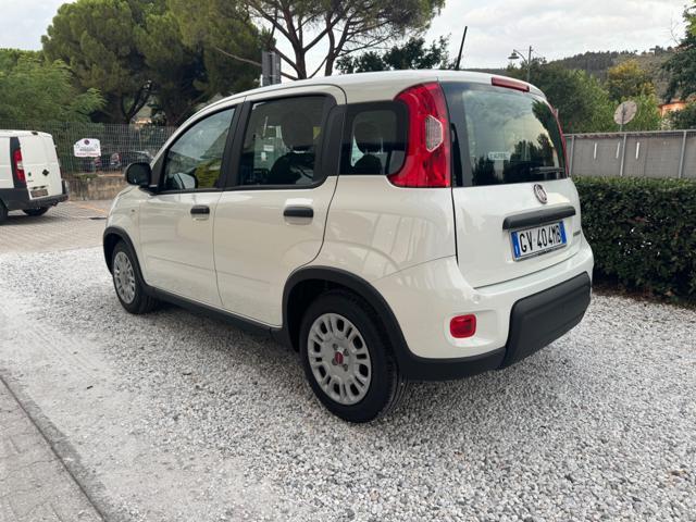 FIAT Panda 1.0 FireFly Hybrid 70cv S&S MT6 - KmZero