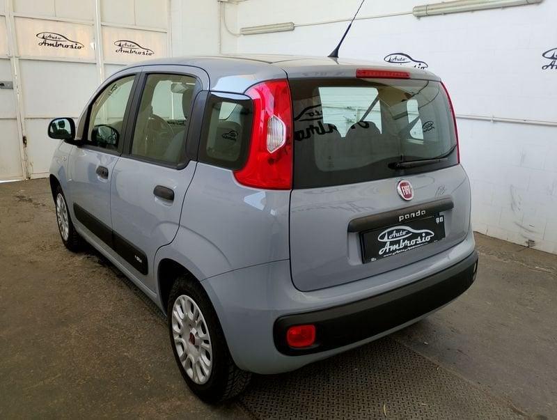FIAT Panda 1.2 Lounge TUA DA 110,00 EURO AL MESE