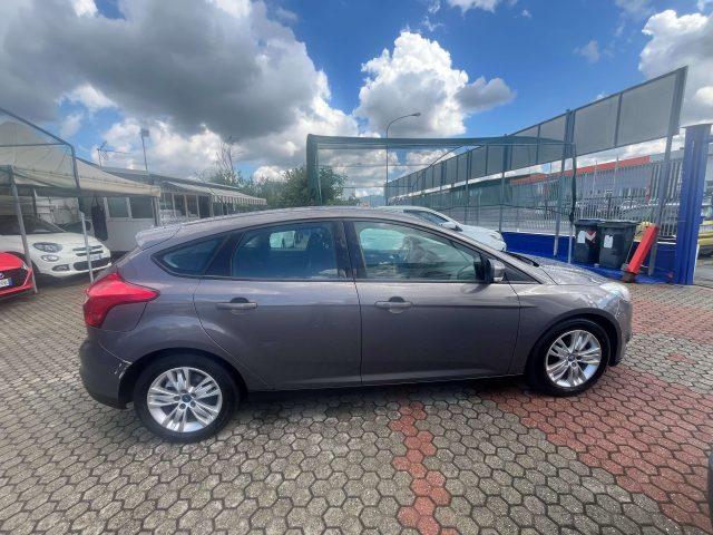 FORD Focus Focus 5p 1.6 tdci Titanium 115cv