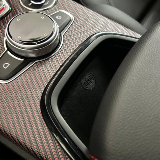 ALFA ROMEO Stelvio 2.9 Bi-Turbo V6 Quadrifoglio Super Sport 1 OF 175