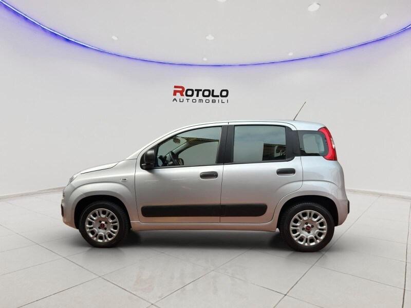 FIAT Panda 3ª serie Panda 1.2 Easy