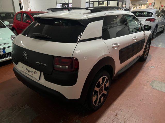 CITROEN C4 Cactus BlueHDi 100 Shine GARANZIA 24 MESI