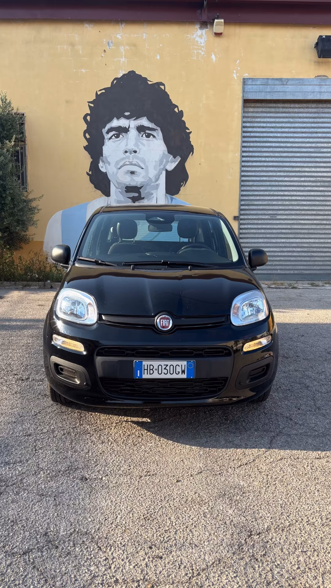 Fiat Panda 1.0 FireFly S&S Hybrid Pandina