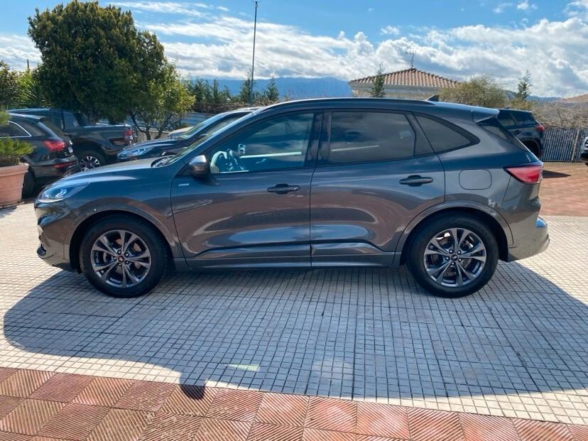 Ford Kuga 1.5 EcoBoost 150 CV 2WD ST-Line