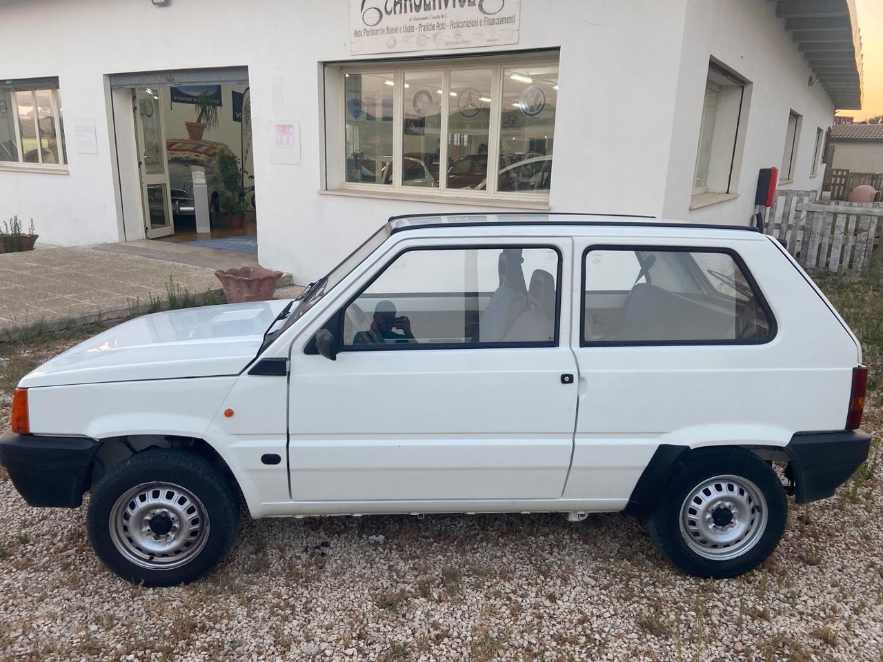 Fiat Panda 900 i.e. cat Young
