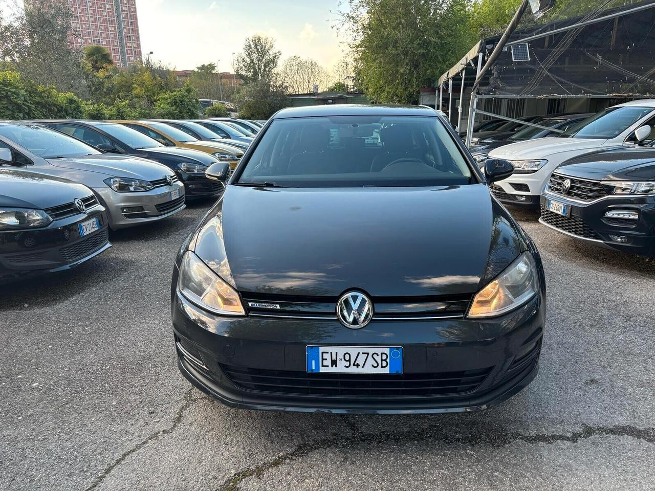 Volkswagen Golf Business 1.4 TGI 5p. OK Neopatentati