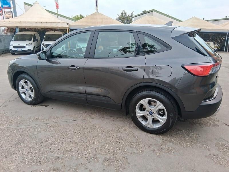 Ford Kuga 1.5 EcoBlue 120 CV aut. 2WD Connect (445)