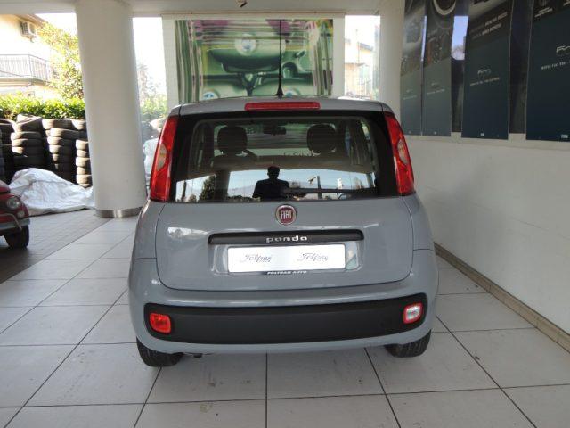 FIAT Panda 1.2 GPL EasyPower Easy