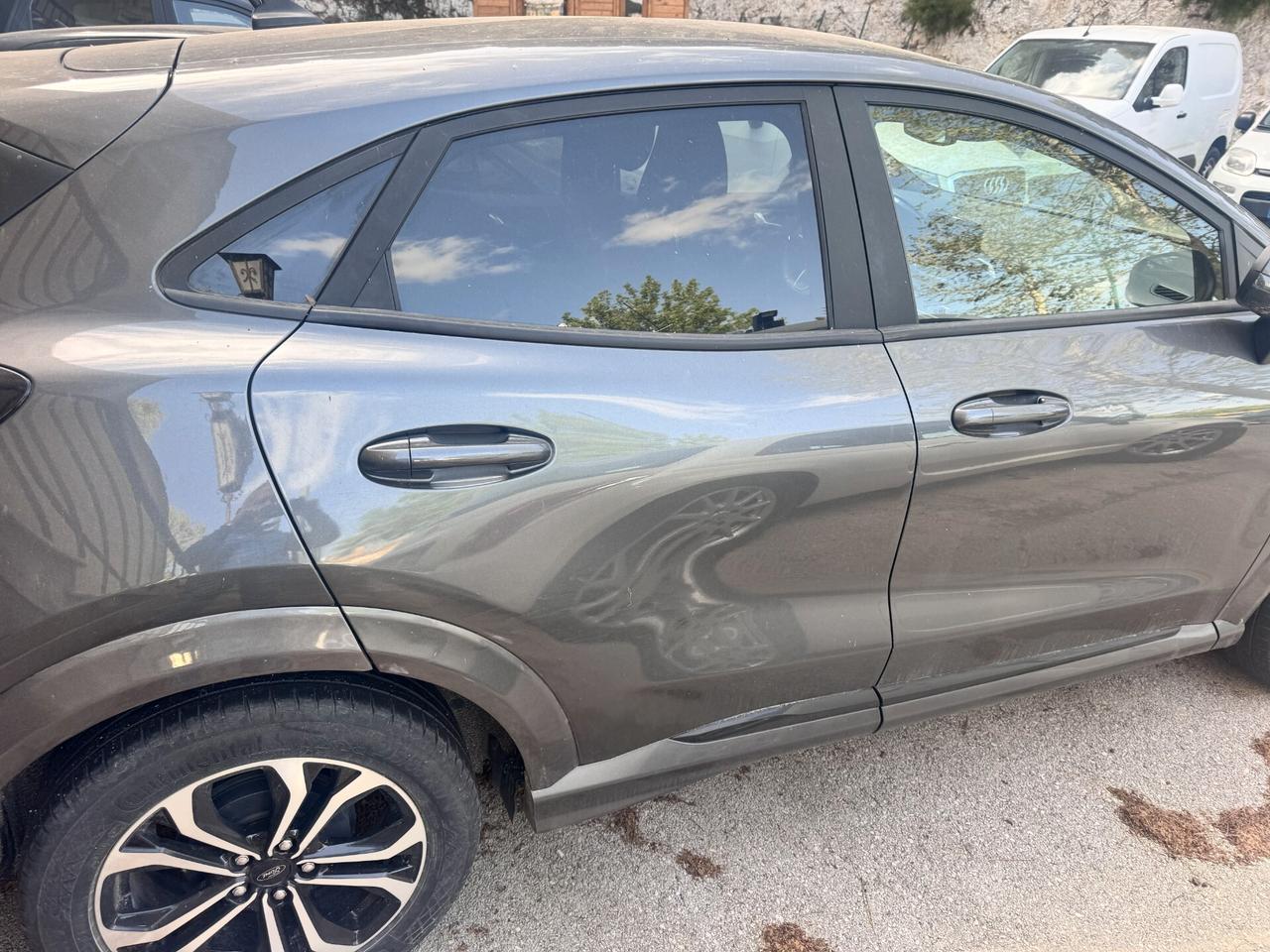 Ford Puma 1.0 EcoBoost Hybrid 125 CV S&S ST-Line X