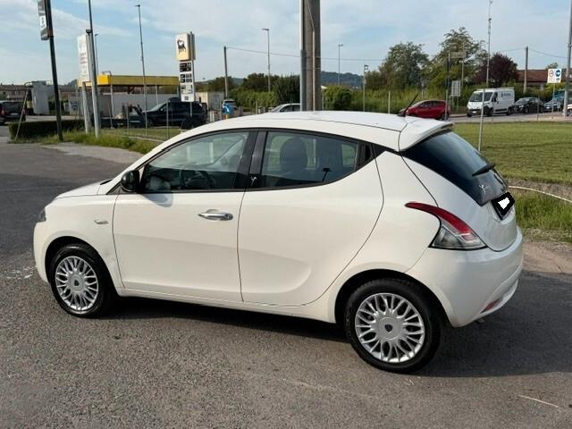 Lancia Ypsilon 1.2 x neopatentati