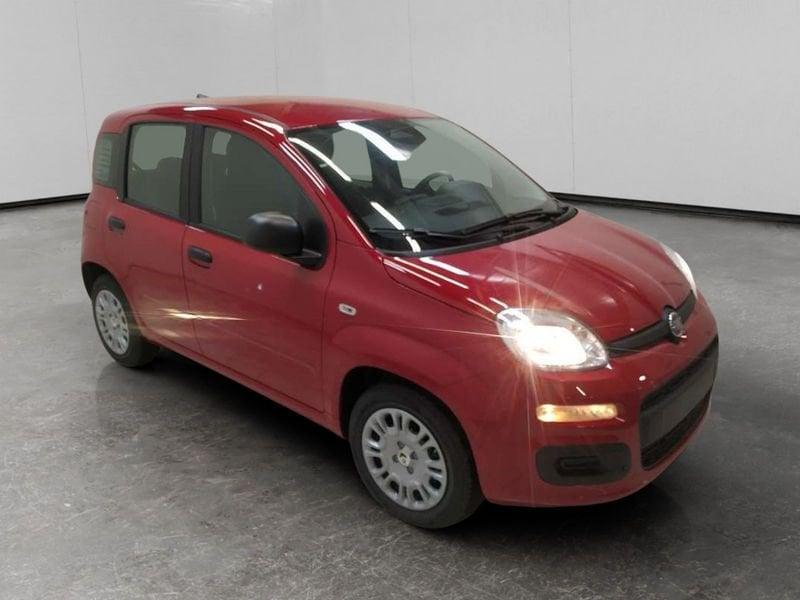 FIAT Pandina 1.0 firefly hybrid Icon s&s 70cv 5p.ti