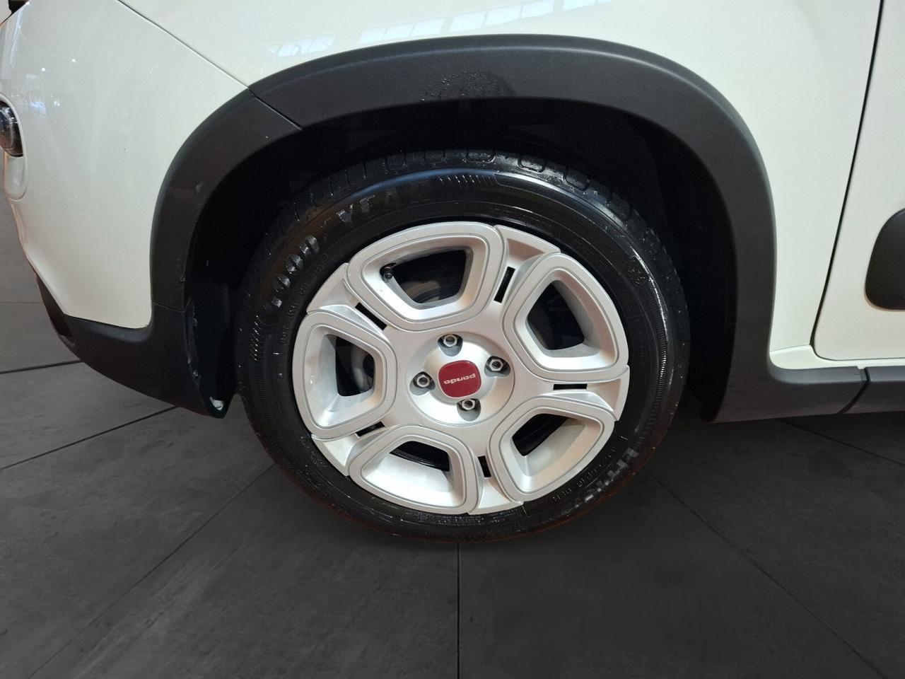 Fiat Panda Cross 1.0 FireFly S&S Hybrid