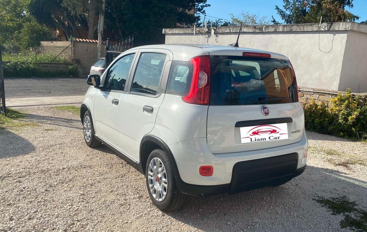 Fiat Panda 1.0 Hybrid City Life Ok Neop.