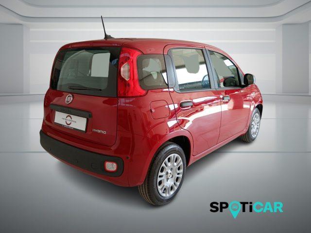 FIAT Panda 1.0 FireFly S&S Hybrid Icon