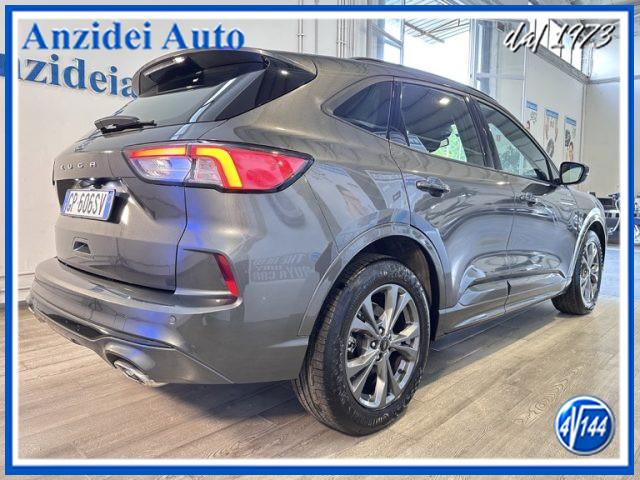 FORD Kuga 2.0 EcoBlue 120 CV aut. 2WD ST-Line
