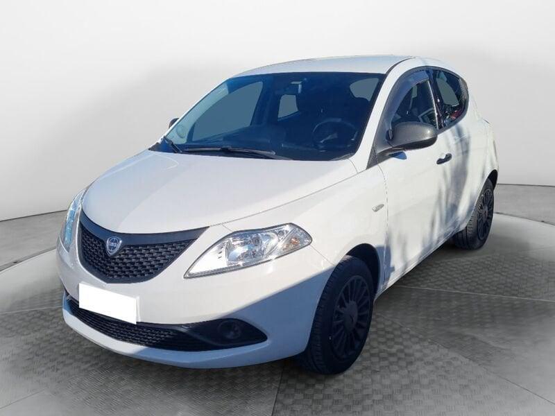 Lancia Ypsilon Ypsilon 1.2 69 CV 5 porte Elefantino