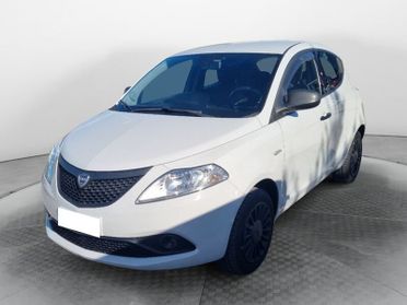 Lancia Ypsilon Ypsilon 1.2 69 CV 5 porte Elefantino