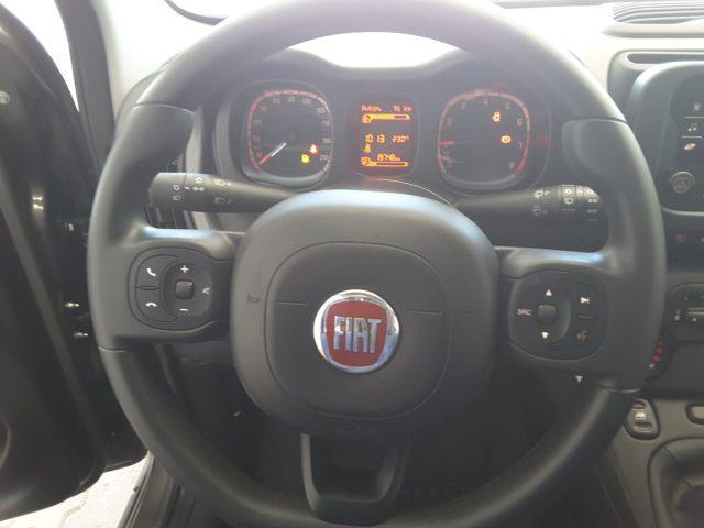 FIAT Panda 1.0 FireFly 70cv Hybrid *solo 19.700 Km*