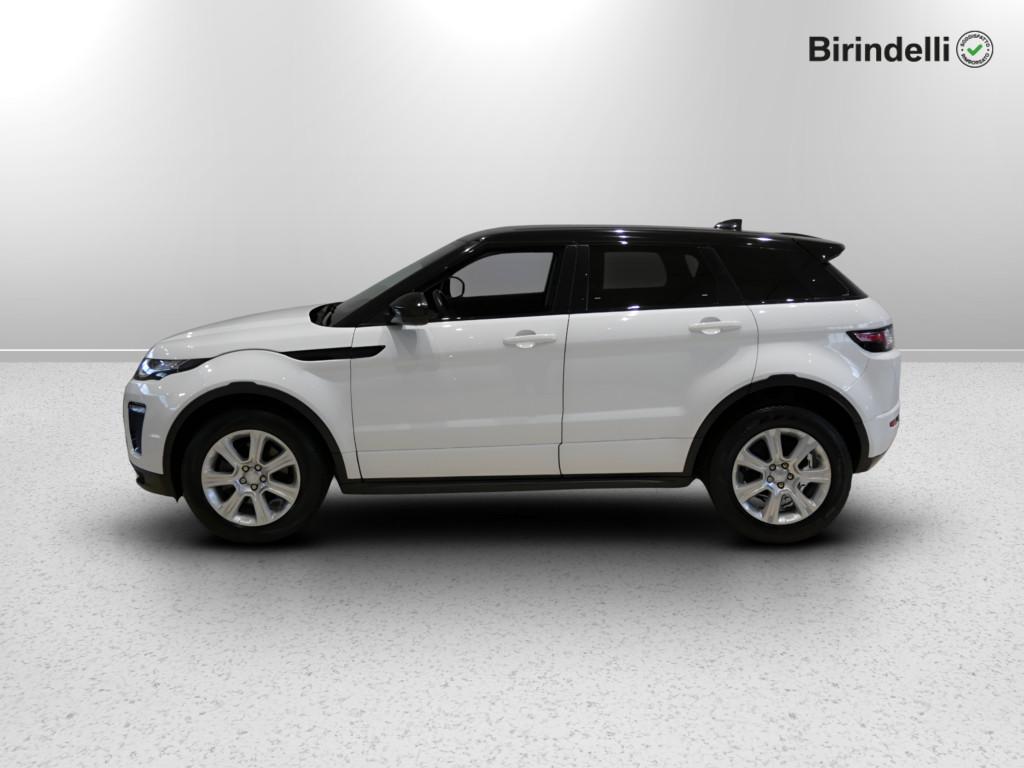 LAND ROVER RR Evoque 1ª serie - Range Rover Evoque 2.0 TD4 150 CV 5p. SE