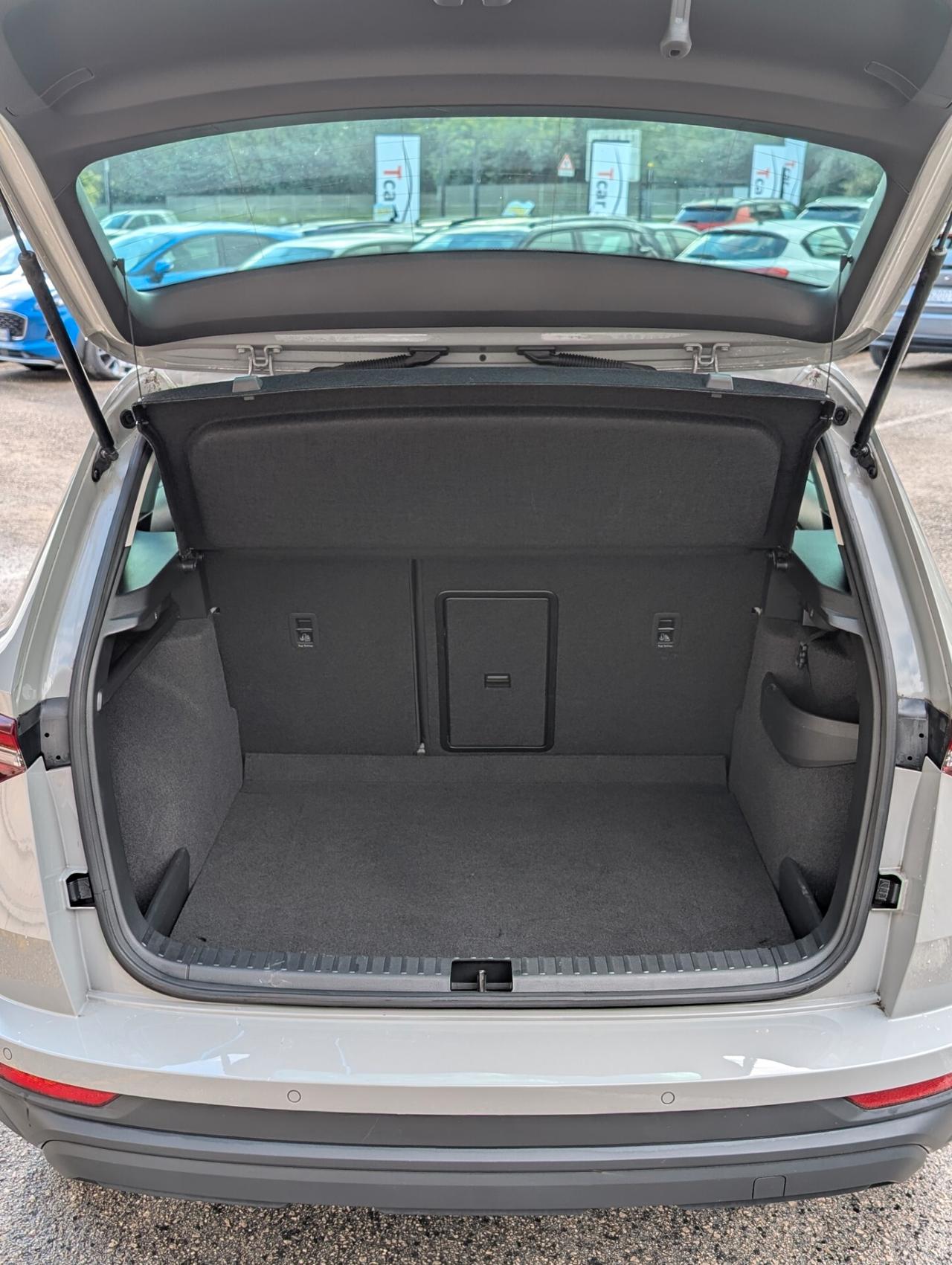 Skoda Karoq 2.0 Tdi 115Cv DSG Executive