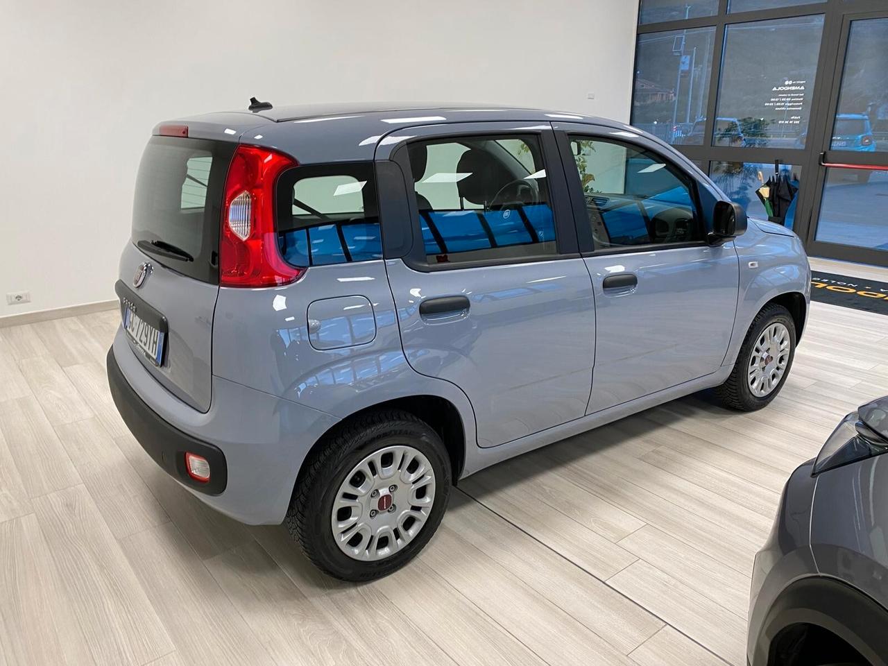 Fiat Panda 1.2 Easy Paro al nuovo