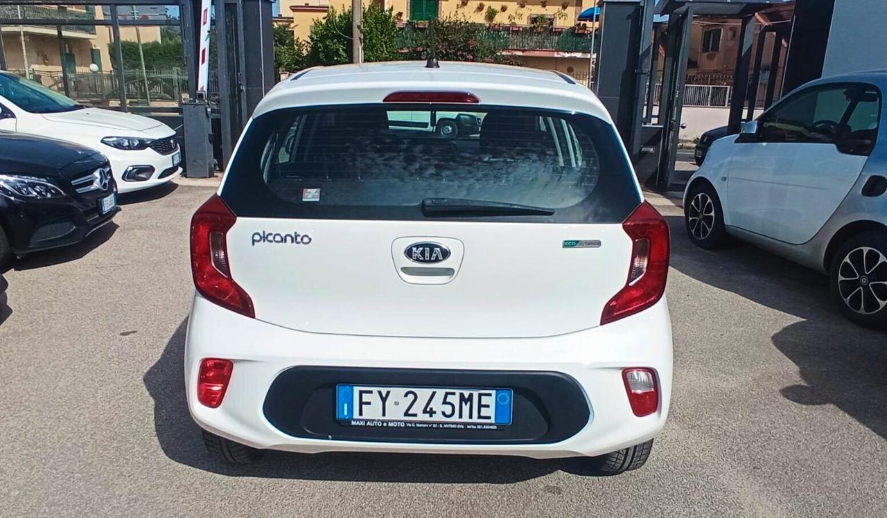 Kia Picanto 2020 SENZA BUSTA PAGA