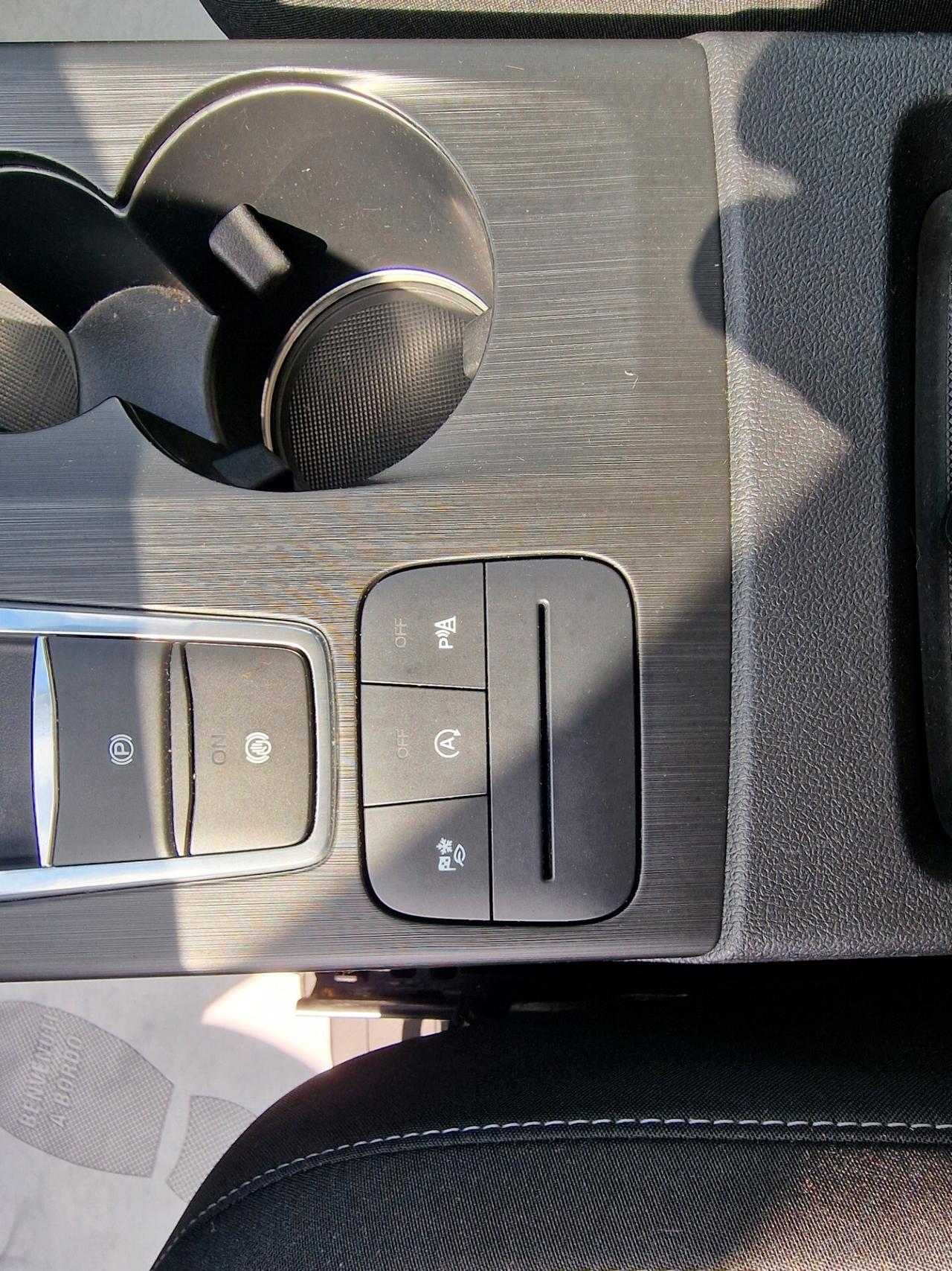 Ford Kuga 1.5 EcoBlue 120 CV aut. 2WD Titanium Business