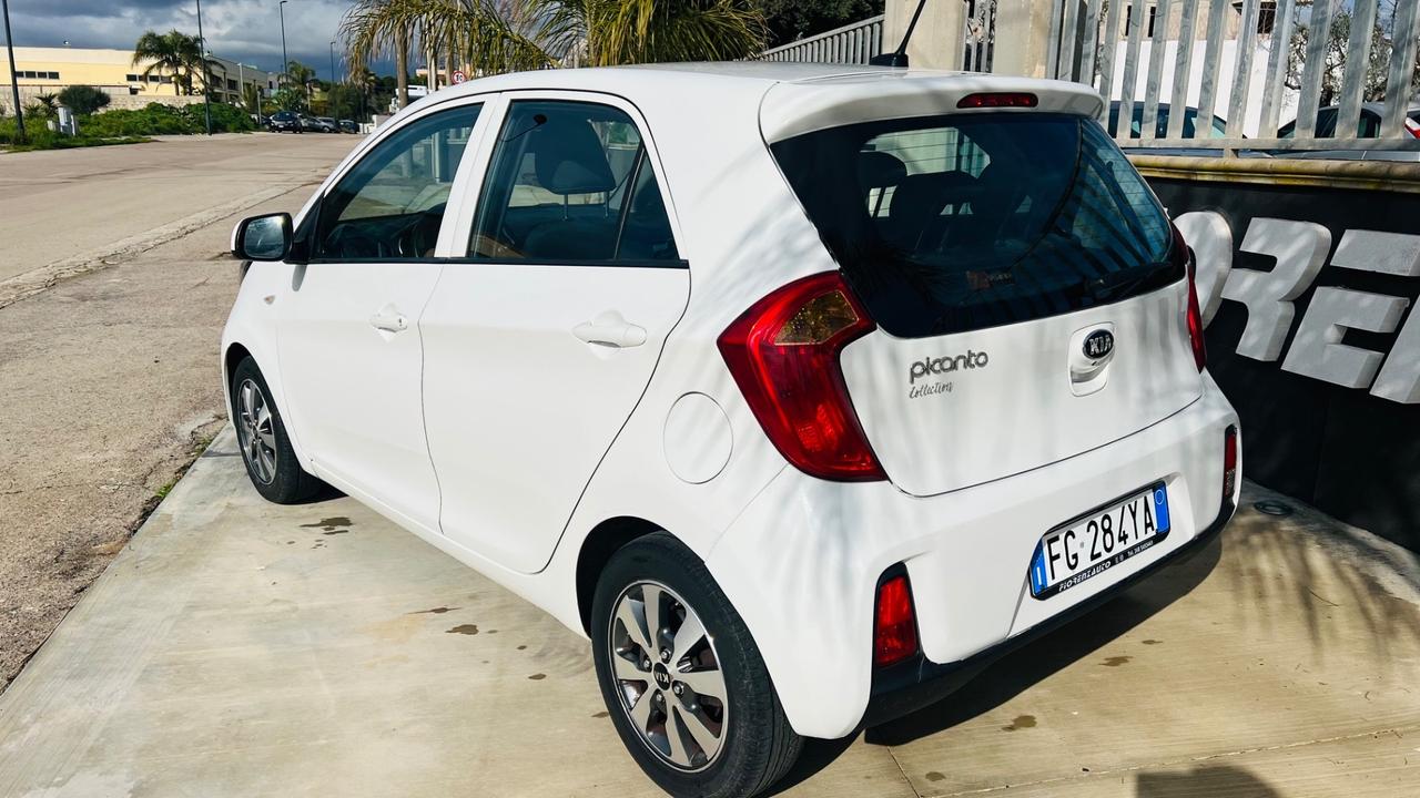 Kia Picanto 1.0 12V 5 porte Glam Collection