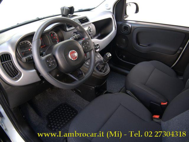 FIAT Panda Cross 1.0 FireFly S&S Hybrid 70cv OK NEOPATENTATI