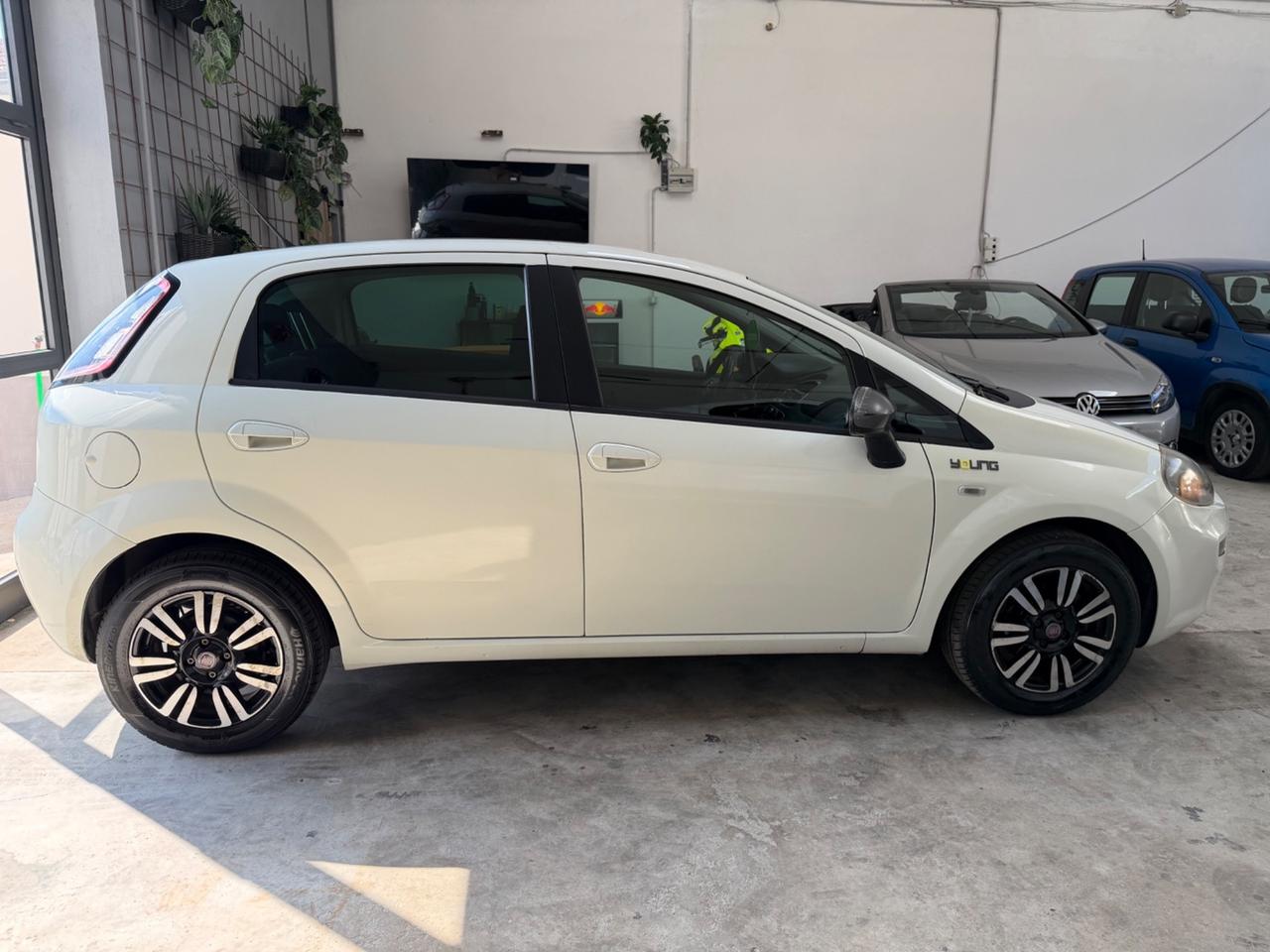 Fiat Punto 1.4 8V 5 porte Easypower Young